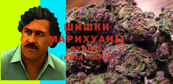 дживик Аркадак