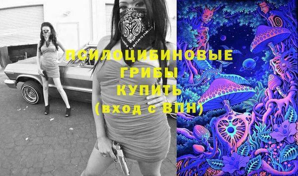 apvp Новокубанск