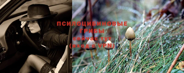 первитин Арсеньев