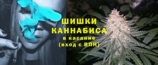 дживик Аркадак