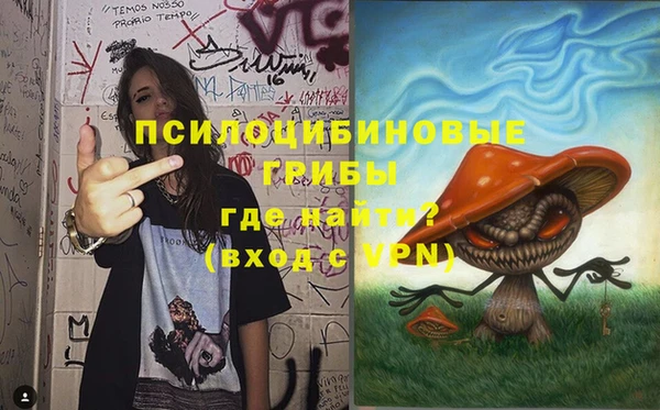 дживик Аркадак